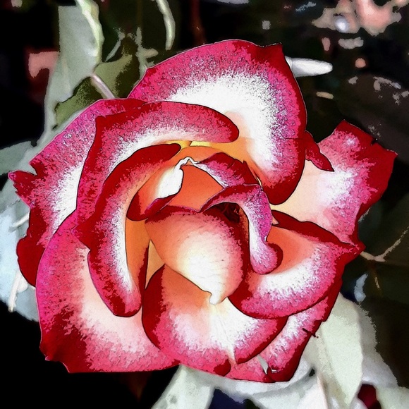 Stephen here living life and loving it - Picture 7 of 8